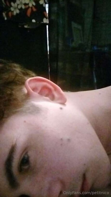 Petitnico top actress image