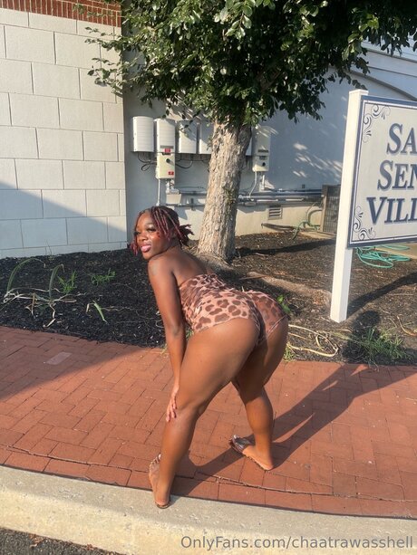 Chaatrawasshell nude actress pictures