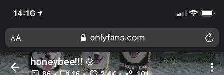 snakefoxbox pornstar img