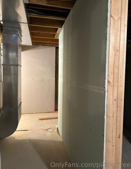 picklesfree hot pornstar img