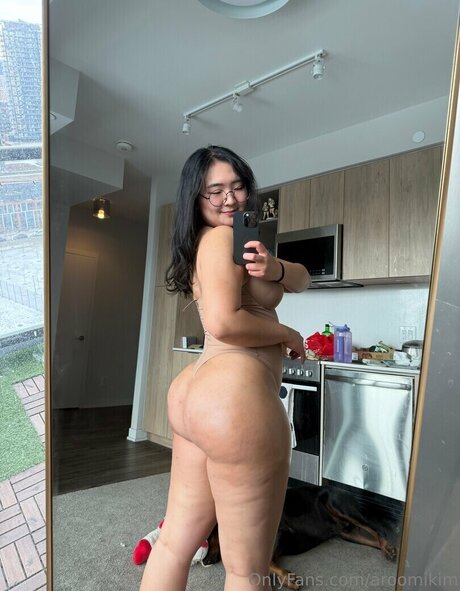 Aroomi Kim erotic pornstar picture