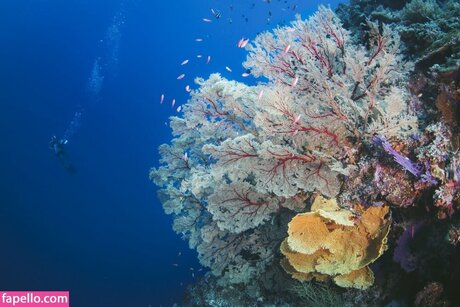 gay videos onlyfans sexy archive