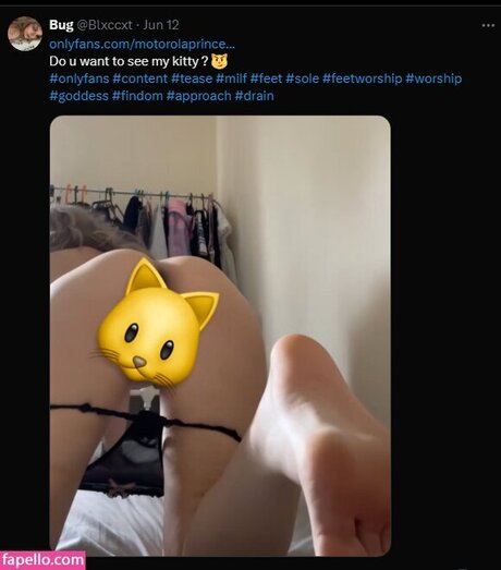 chubby kitty onlyfans erotic images