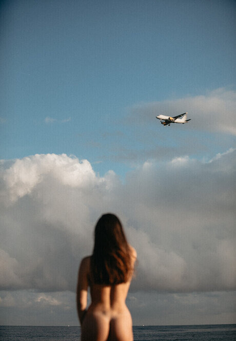 Alohalaia star free image