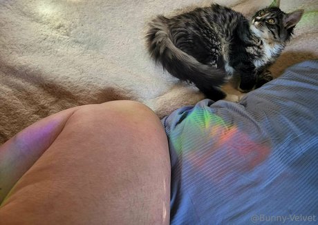 bondage bunny onlyfans nice pictures