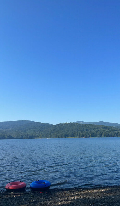 cordyvip star adult images