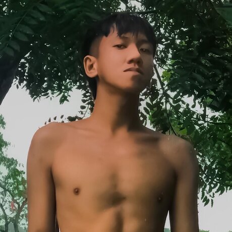 Mixadith 24 perfect star picture