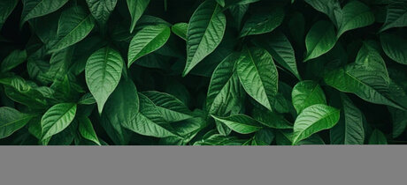 Soul Dream art actress img