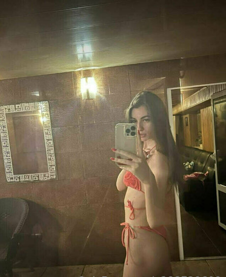 judy mi star art images