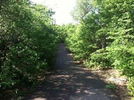 teacher free onlyfans free porn pic