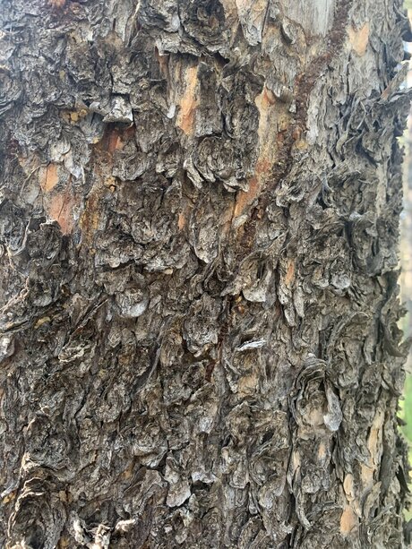 goth teen onlyfans pornos photo