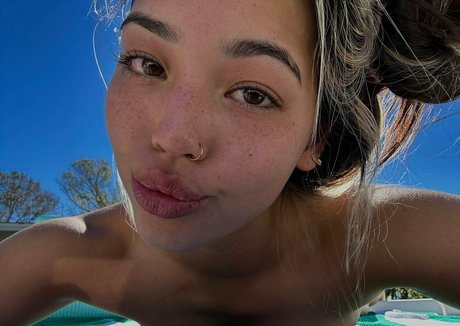 kikirivers star nice gallery