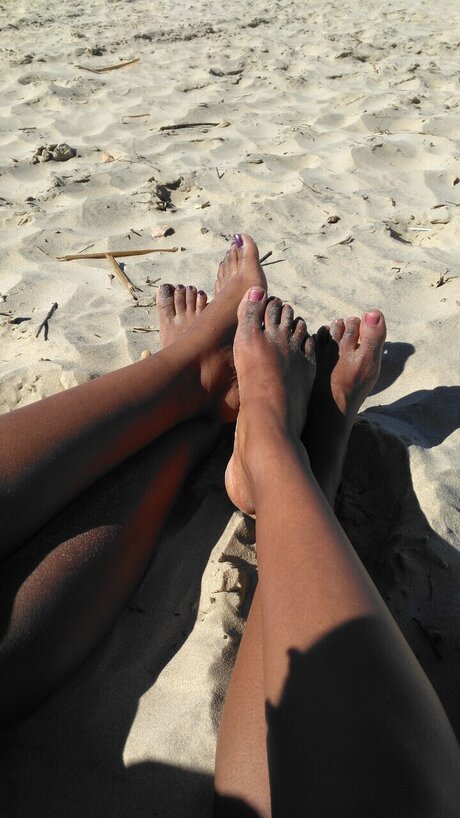 HoneyBeeDee model top photo