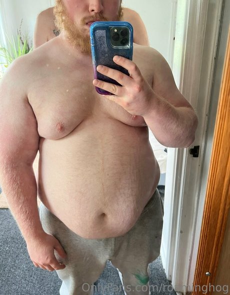 roaminghog beautiful star archive