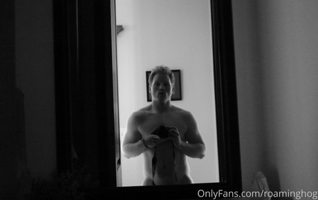 roaminghog high quality actress picture