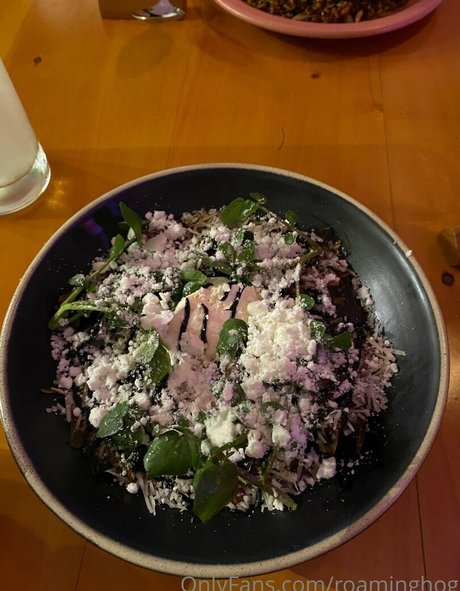 roaminghog exclusive model gallery