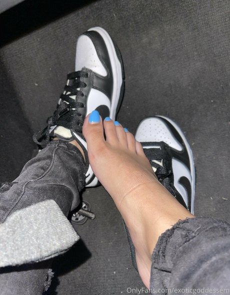 hung shemale onlyfans porn archive