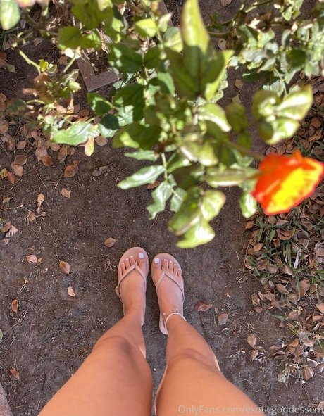 bbw glasses onlyfans nice pic