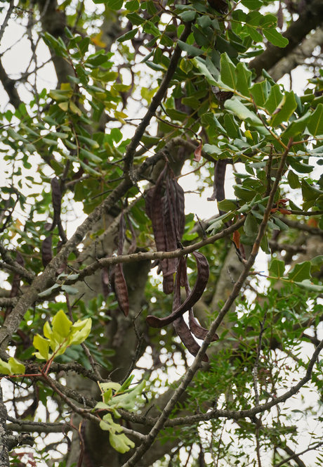 pregnant nude onlyfans exclusive gallery