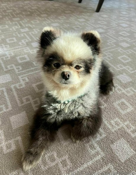 curvy star onlyfans hot porn photos