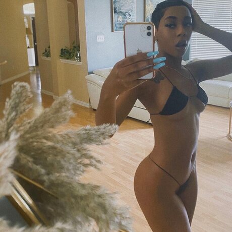 _amp lt3 best model galleries