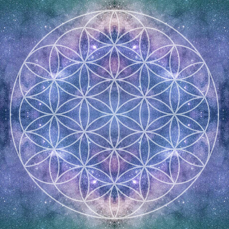 MystikP420 amp ampYogi xxx star pictures