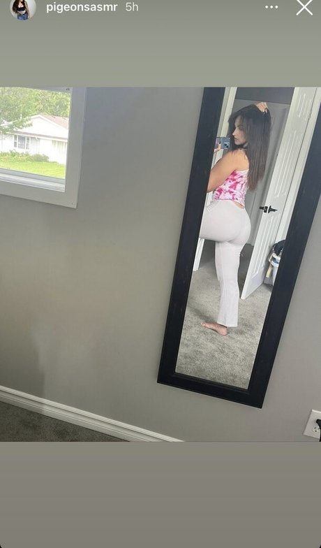 Pigeons ASMR high quality model picture