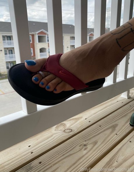 ecchisachi333 star free image