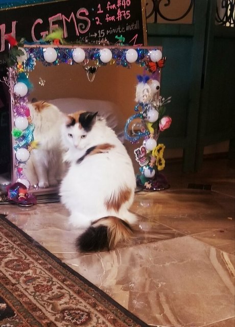 braces onlyfans pretty galleries