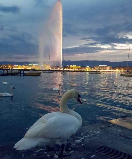 beauty curvy onlyfans art nude galleries