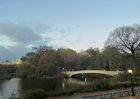 evieling profile pic