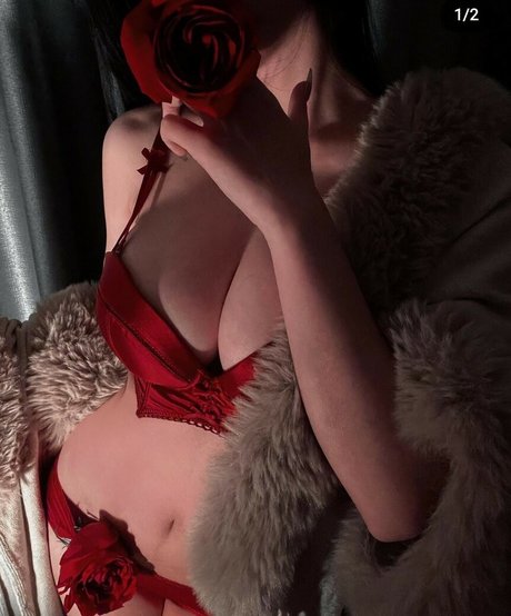 Naughtyjolie star perfect archive