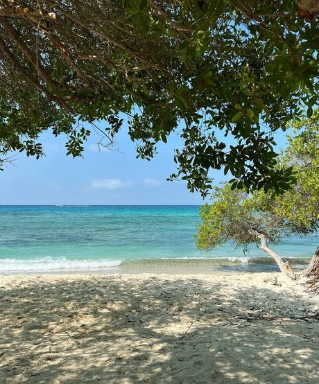 Mally Restrepo beautiful star pic