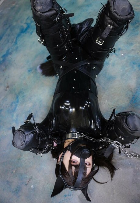 Dlemon best pornstar img