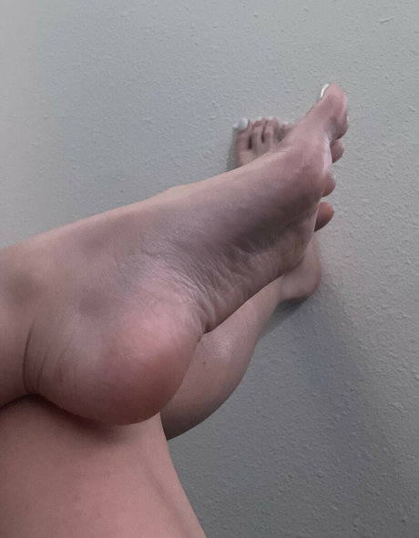 tayloryorktamayo hd model archive