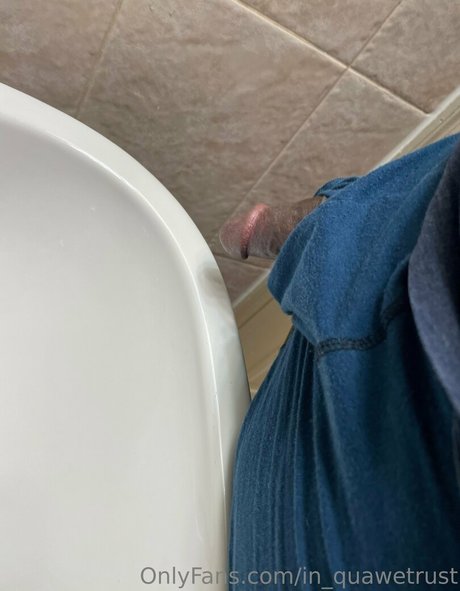 in quawetrust model perfect image