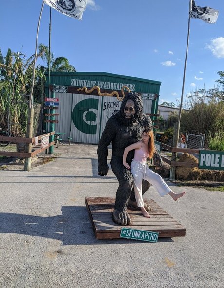 theshaecelestine nice star img