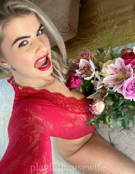 queen of drgns nice star photos