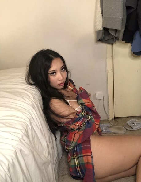 woxbox star art pictures