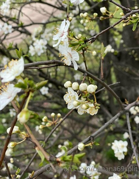 skinny onlyfans beautiful nude image