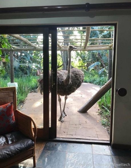 naughtyvettech perfect pornstar photos