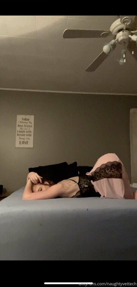 naughtyvettech pornstar art image