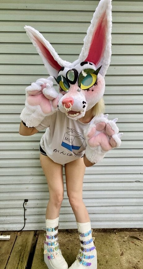 asian masturbation onlyfans porno image