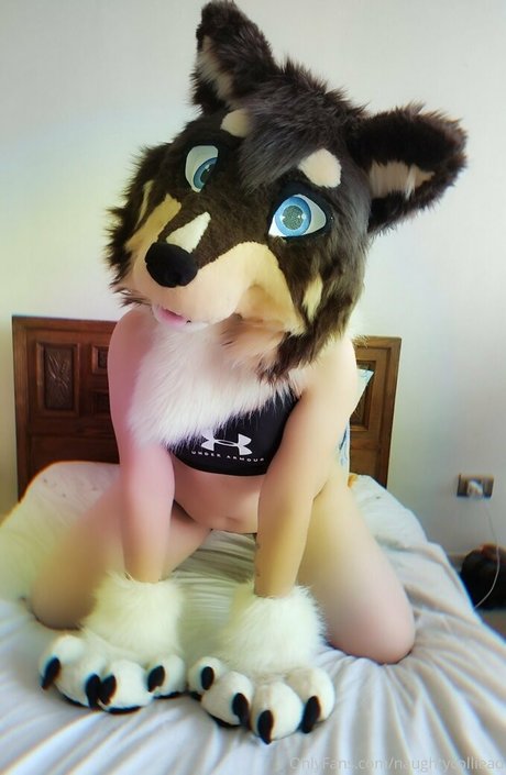 naughtycolliead pornstar top pictures