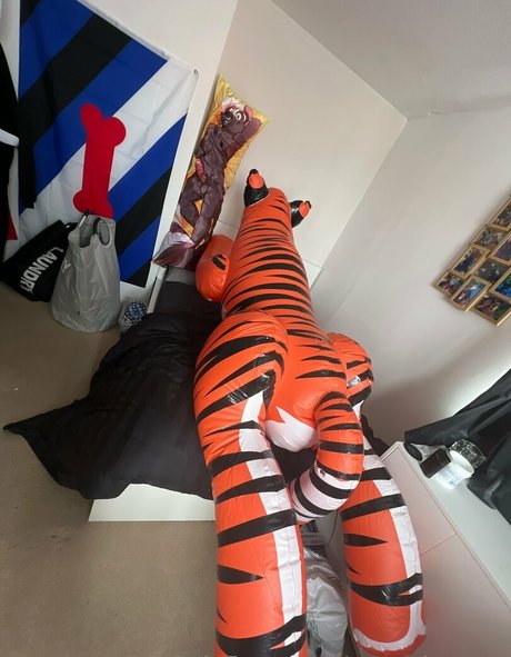 squeaky pup adult star image