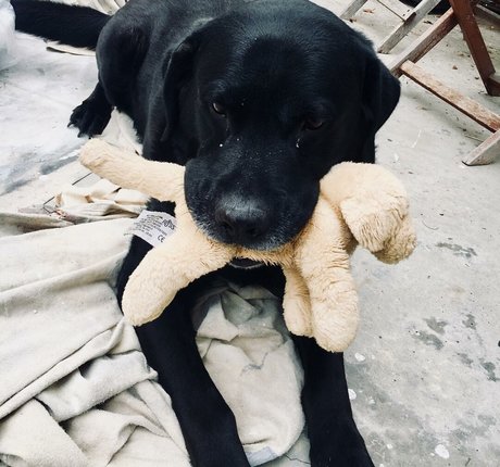 Dommmi sexy star gallery