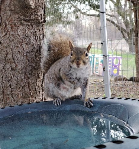 tiny tits onlyfans pretty archive