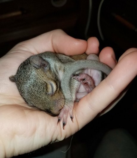 mikaylarainesfans model best picture