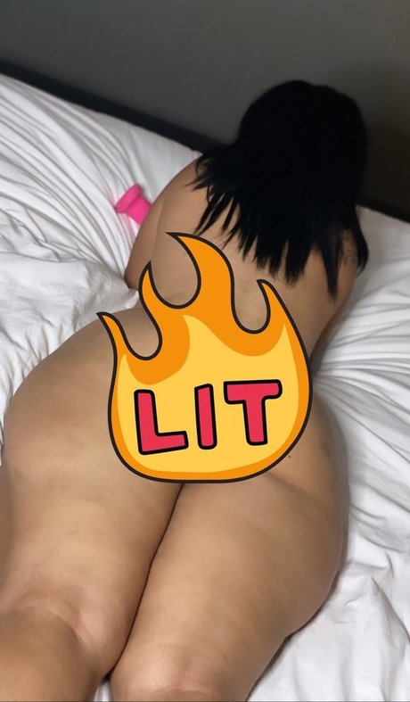 mzmulattobunny model high quality img