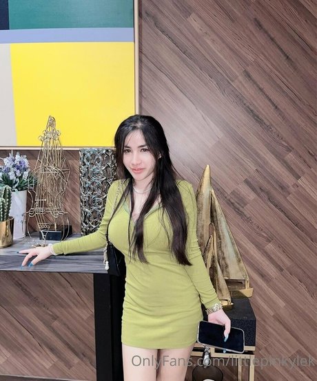 littlepinkylek pornstar adult photo